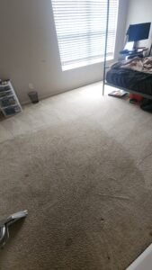 carpet cl.eaning